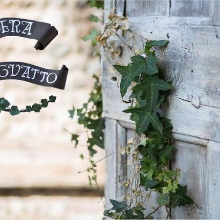 Bed and Breakfast Edera Dei Guatto Bertiolo Экстерьер фото